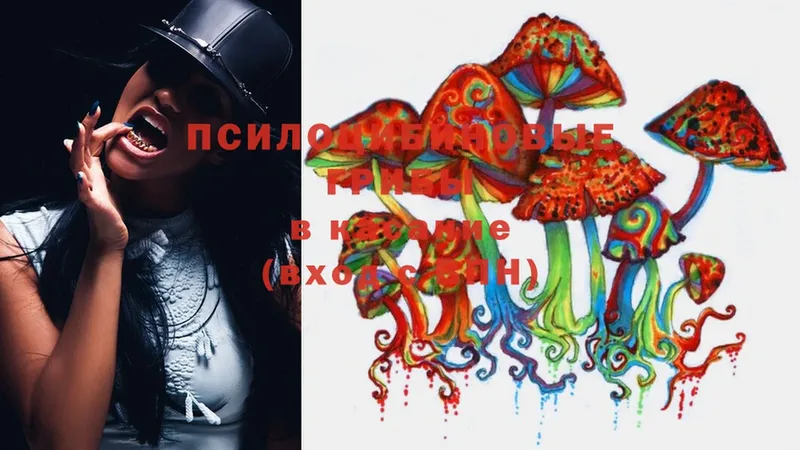 Галлюциногенные грибы Psilocybe  Пермь 